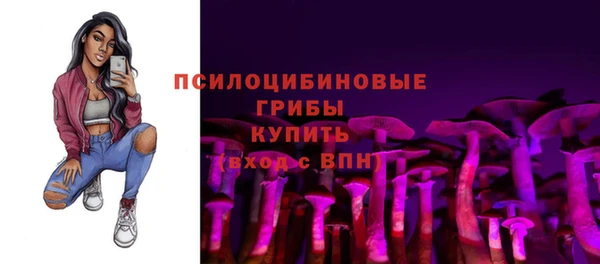 прущие крисы Гусев
