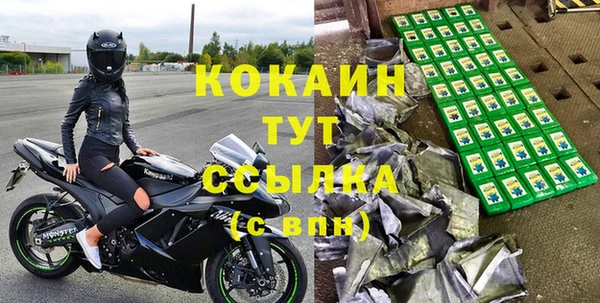 прущие крисы Гусев