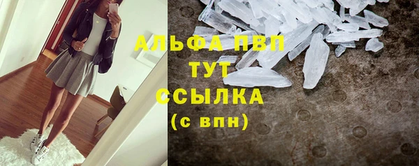 прущие крисы Гусев