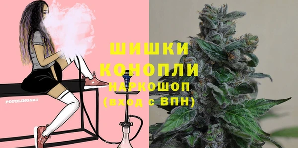 прущие крисы Гусев