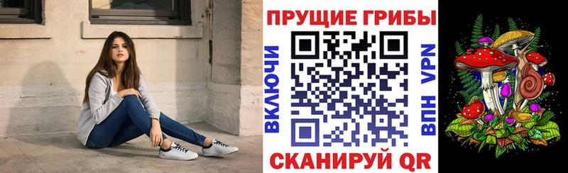 Галлюциногенные грибы прущие грибы  Купить где  Елизово 