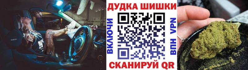 Купить закладки  Елизово  Бошки марихуана семена 